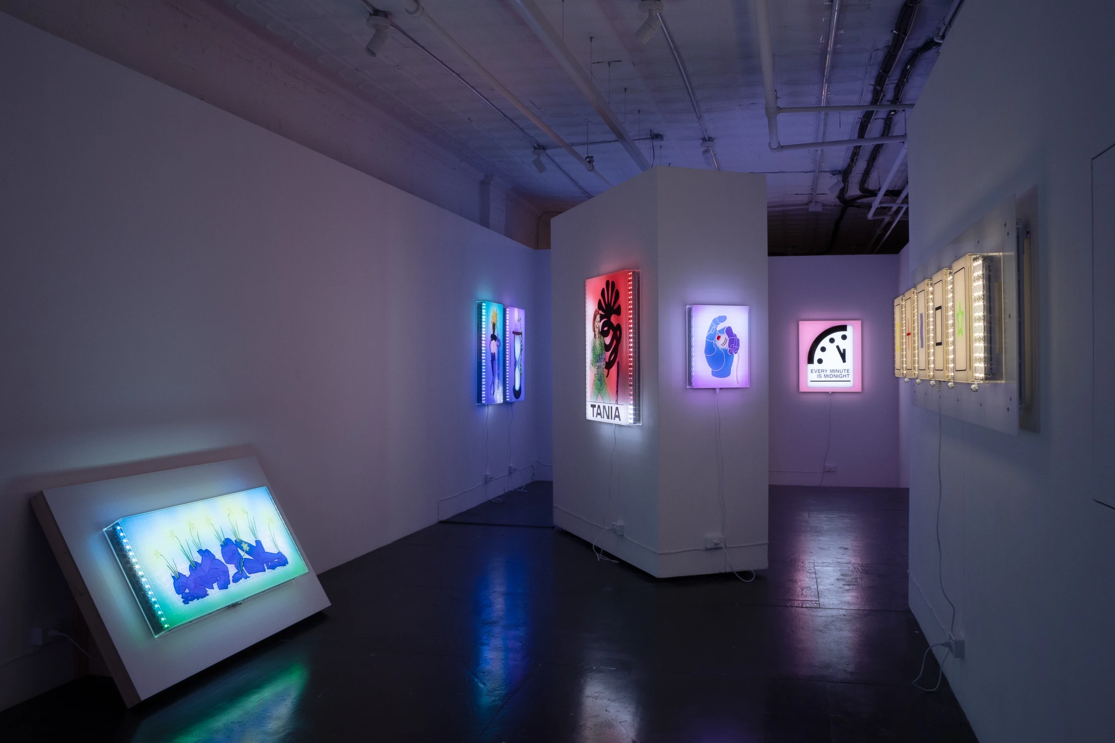 Jonathan Bruce Williams — Installation View, Let's All Abandon Reality Together, Kai Matsumiya Gallery, 2025