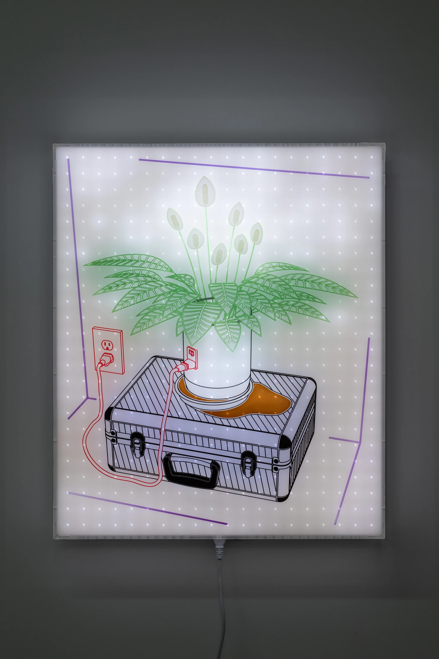 Jonathan Bruce Williams — Peace Lily, 2024, programmable LED lightbox