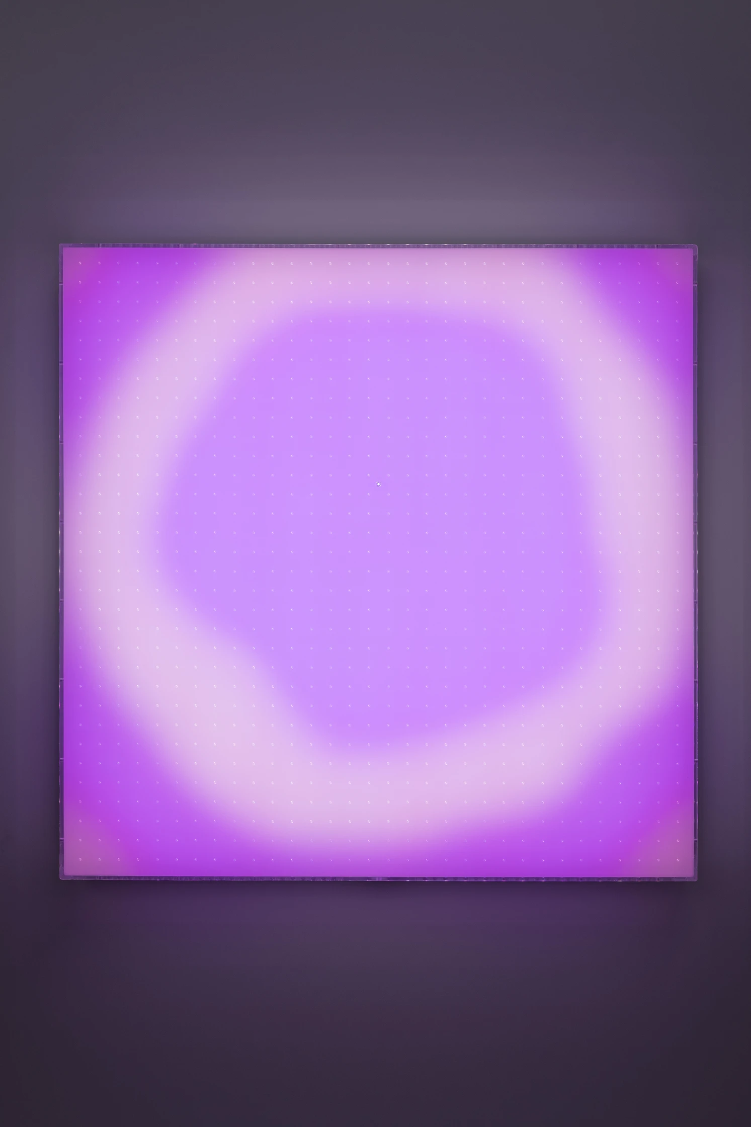 Jonathan Bruce Williams — Drishti, 2025, programmable LED lightbox