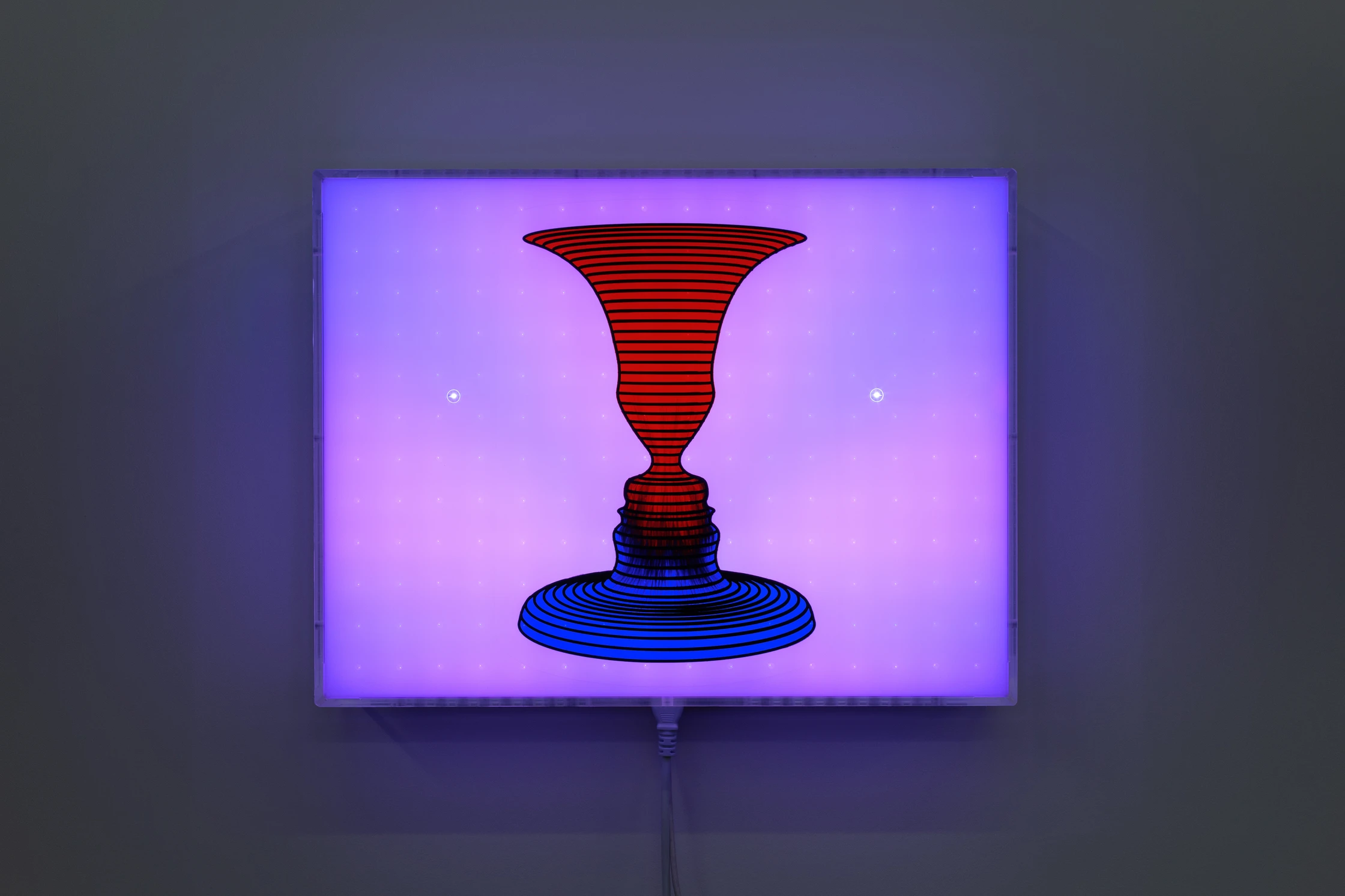 Jonathan Bruce Williams — Rubin Vase, 2025, programmable LED lightbox